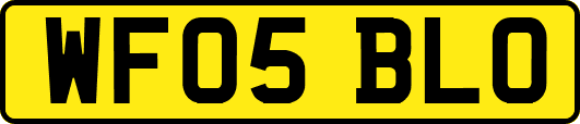 WF05BLO