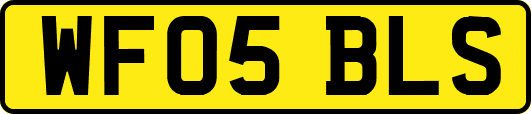 WF05BLS