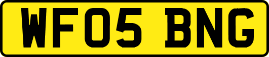 WF05BNG