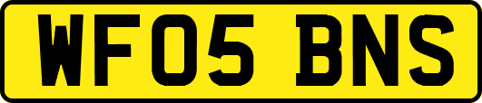WF05BNS