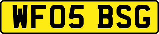 WF05BSG