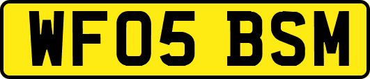 WF05BSM