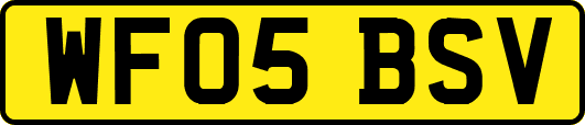 WF05BSV
