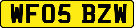 WF05BZW