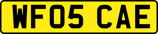 WF05CAE