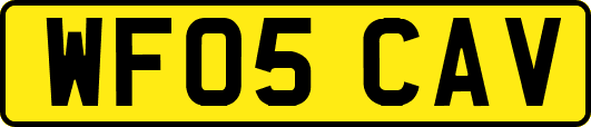 WF05CAV