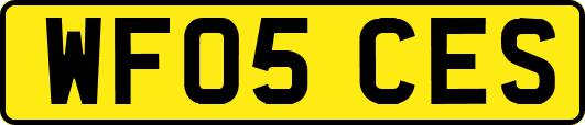 WF05CES
