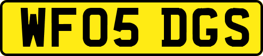 WF05DGS