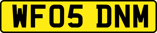 WF05DNM