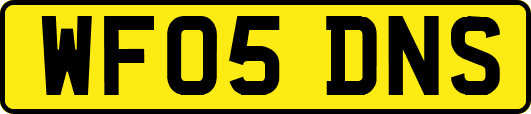 WF05DNS