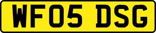 WF05DSG