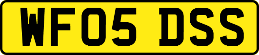 WF05DSS