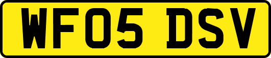 WF05DSV