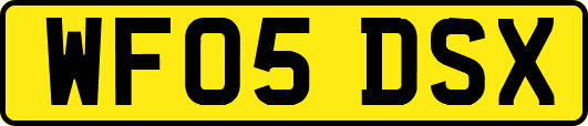 WF05DSX