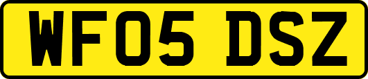 WF05DSZ
