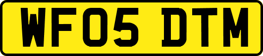 WF05DTM