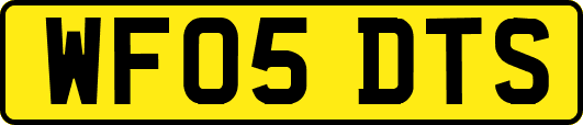 WF05DTS