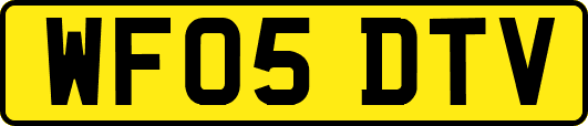 WF05DTV