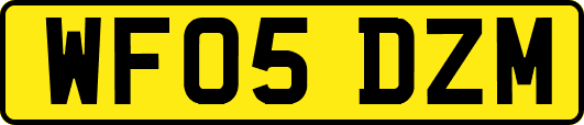 WF05DZM