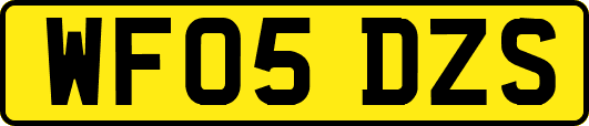 WF05DZS