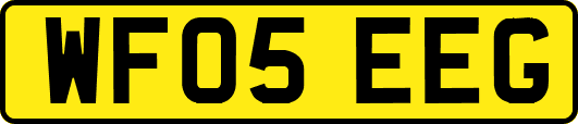WF05EEG