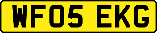 WF05EKG