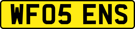 WF05ENS
