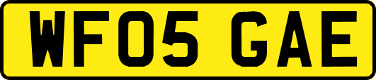 WF05GAE