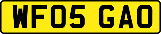 WF05GAO
