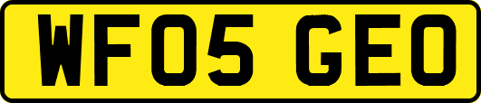 WF05GEO