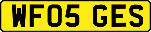 WF05GES