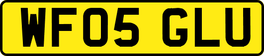 WF05GLU