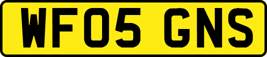 WF05GNS