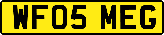 WF05MEG