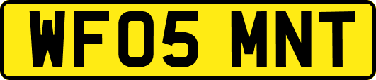 WF05MNT