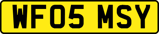 WF05MSY