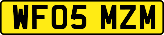WF05MZM