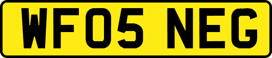 WF05NEG