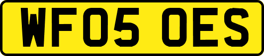 WF05OES