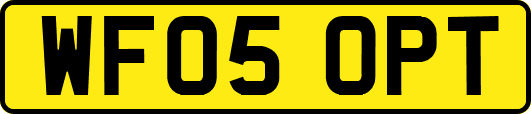 WF05OPT
