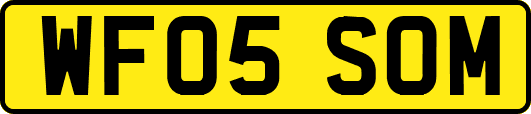 WF05SOM