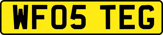 WF05TEG