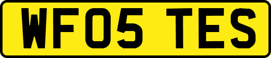 WF05TES