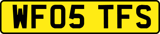 WF05TFS
