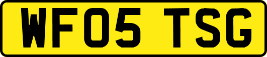 WF05TSG