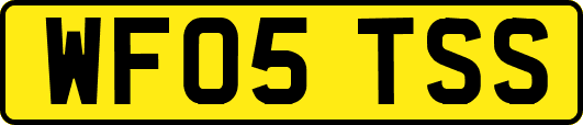 WF05TSS