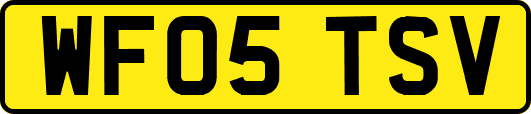 WF05TSV