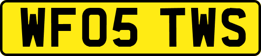 WF05TWS