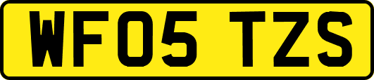WF05TZS