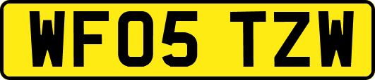 WF05TZW